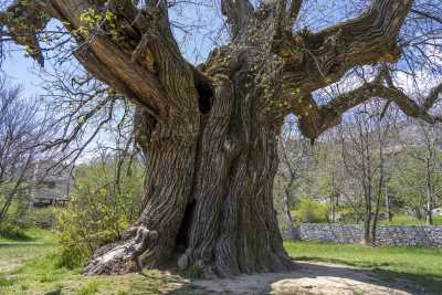 Yayla Gezileri, Antalya